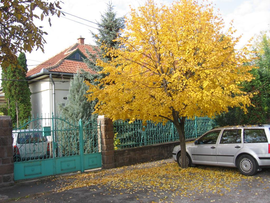 Csaladi Vendeghaz Daire Eğri Dış mekan fotoğraf